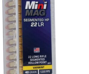 CCI 22 LR MM HP 40 gr