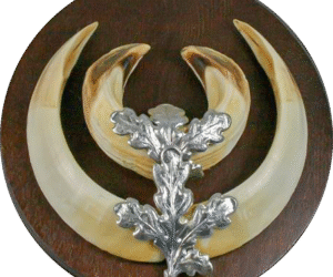 OAK LEAVES FOR HOG FANGS SILVER