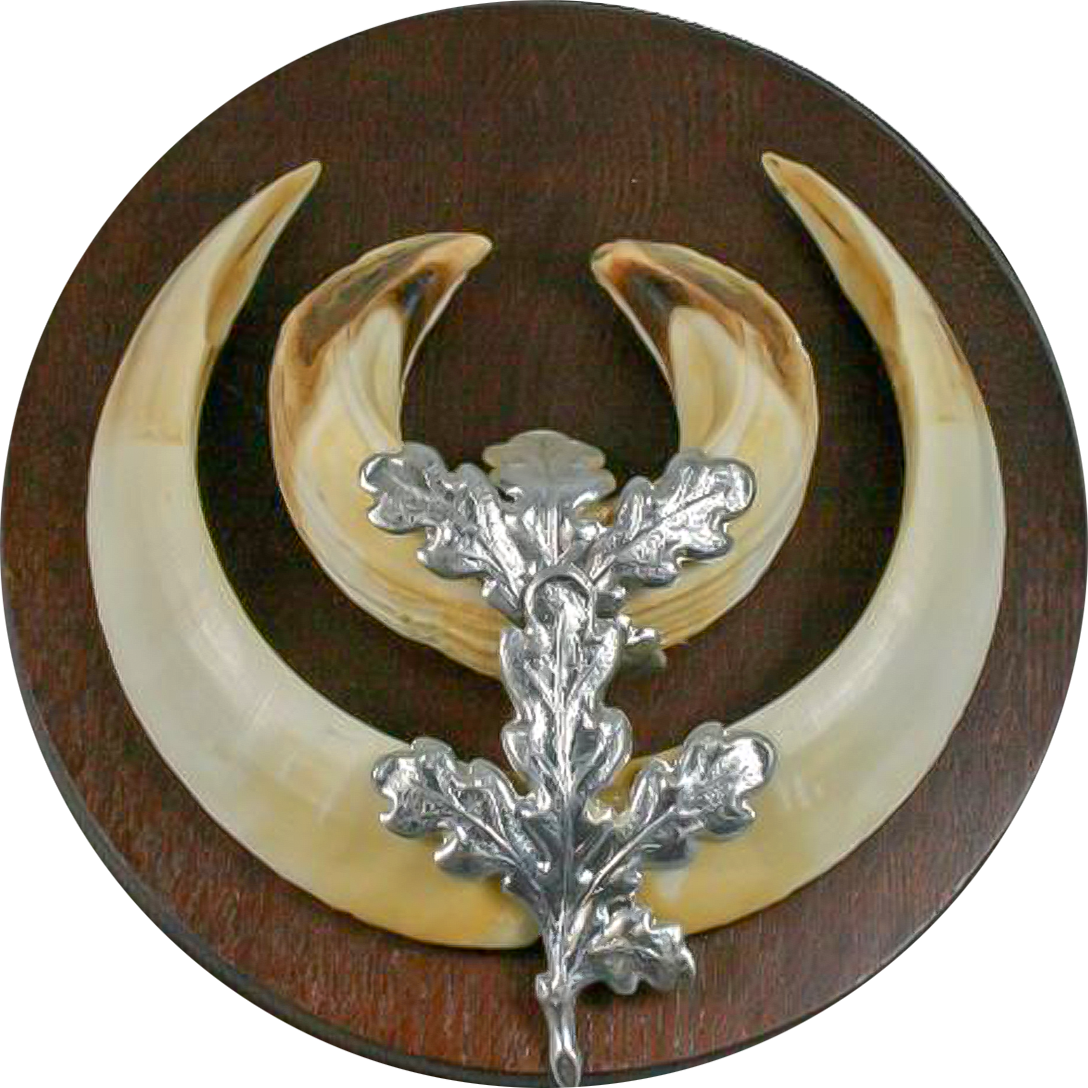 OAK LEAVES FOR HOG FANGS SILVER