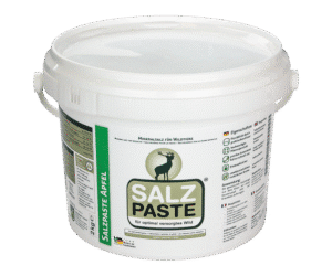 SALT PASTE APPLE