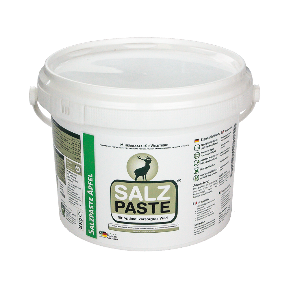 SALT PASTE APPLE