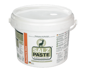 SALT PASTE ANISE 2000 g BUCKET