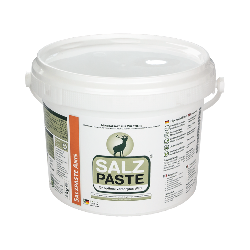 SALT PASTE ANISE 2000 g BUCKET